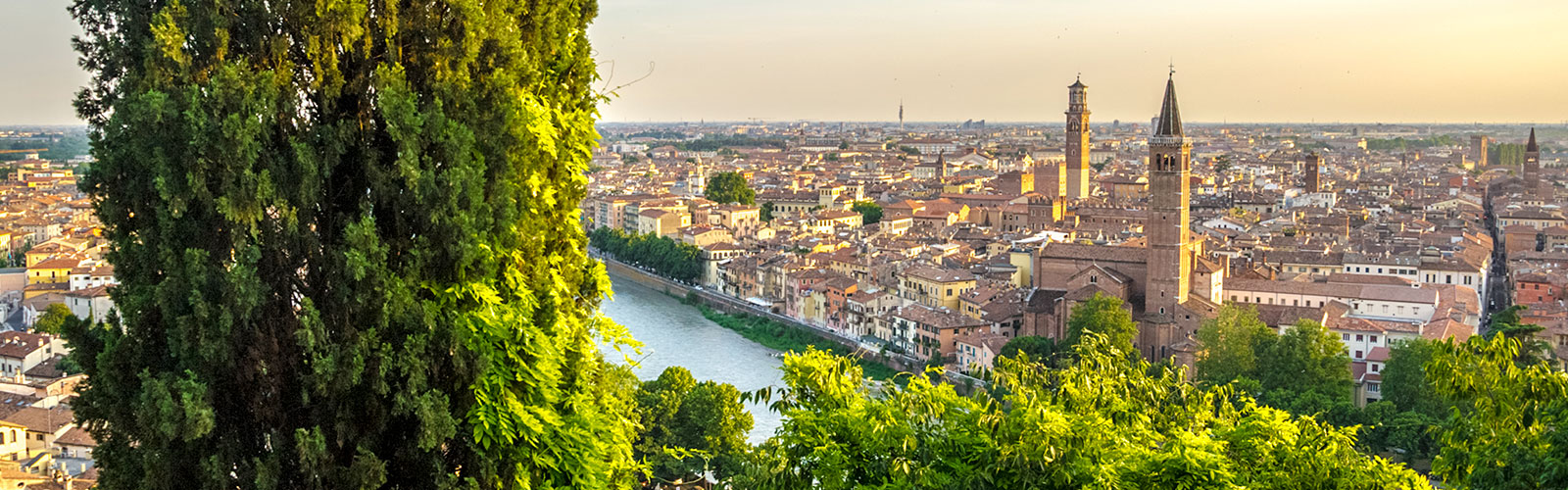 La rivoluzione dei giardini: strategie e reti d’innovazione per il verde comune