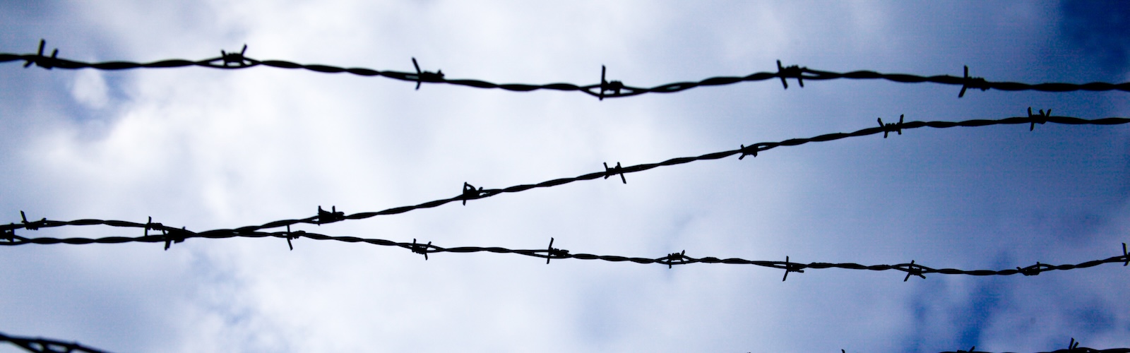 Dalla Shoah al genocidio: il ruolo della giustizia penale internazionale (26.1.2026)