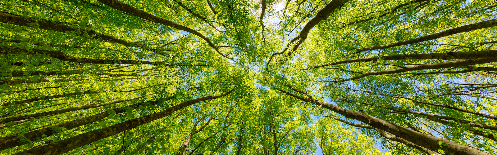 Ciclo di conferenze sul diritto dell'ambiente
