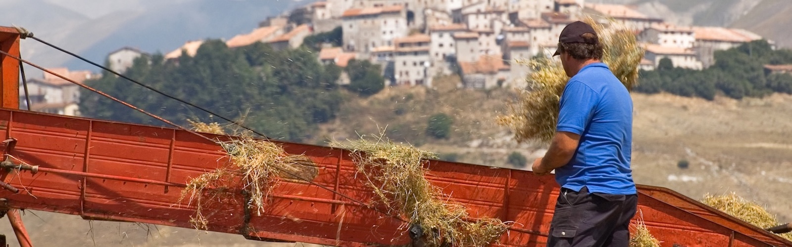 Nuove forme di caporalato tra prevenzione e contrasto