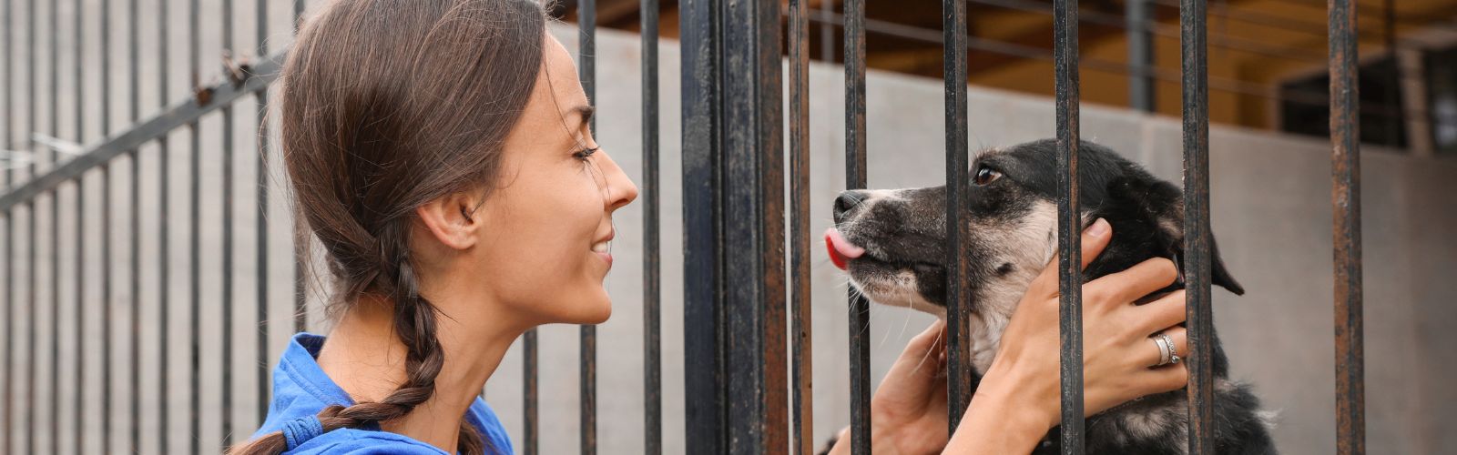 La recente riforma dei reati contro gli animali: luci e ombre