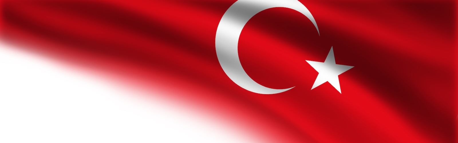 Tutela dei diritti umani e la“Difesa della difesa